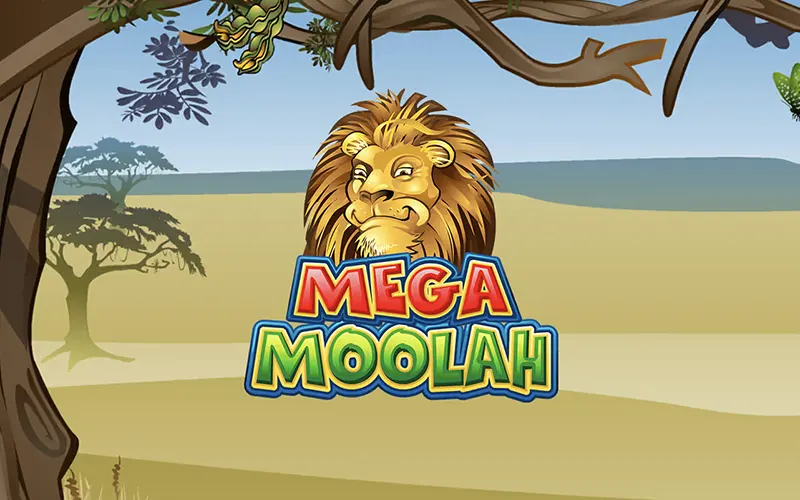 Log in to your account and start playing Mega Moolah at Bet365.